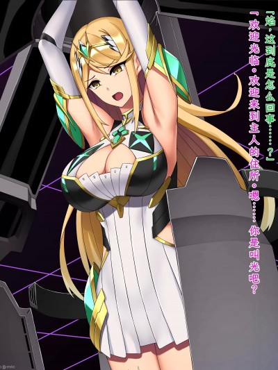 [我が家の黒歴史 (三夜代)] ゼノブレイド2ヒカリSS 01-11 (ゼノブレイド2) [中国翻訳]