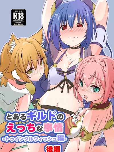 (C105) [Sinful Palette (双月なる)] とあるギルドのえっちな事情-トゥインクルウィッシュ編-後編 (プリンセスコネクト!Re:Dive) [DL版]