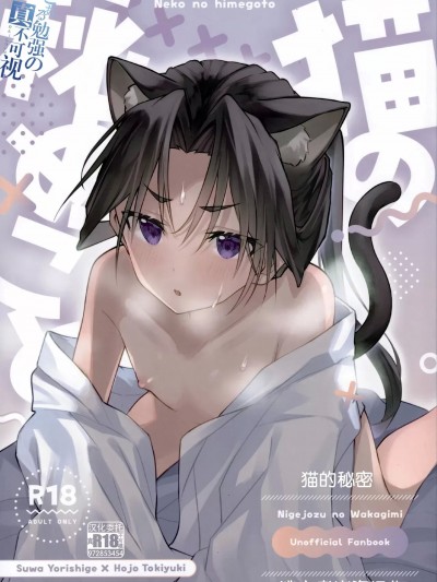 [逃亡者×真不可视汉化组] (C105) [ロックソルト (岩塩)] 猫の秘めごと (逃げ上手の若君) [中国翻訳]