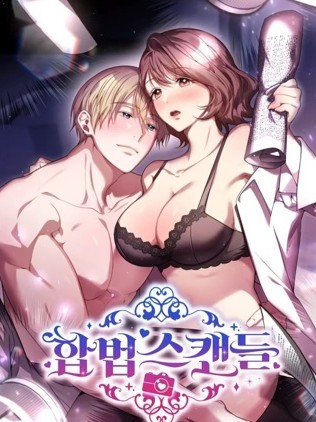 合法醜聞