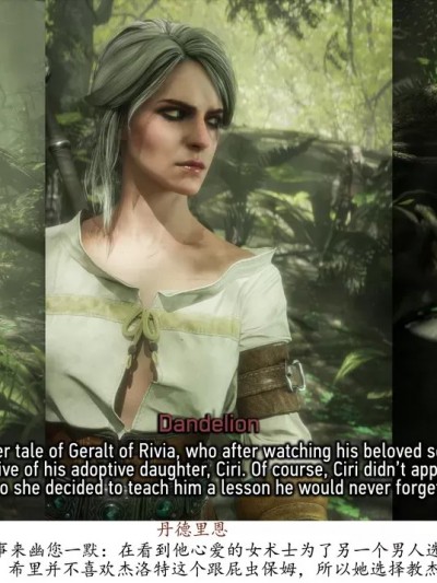 [可可爱爱瓜皮个人翻译][Currysfm] Ciri's Lesson