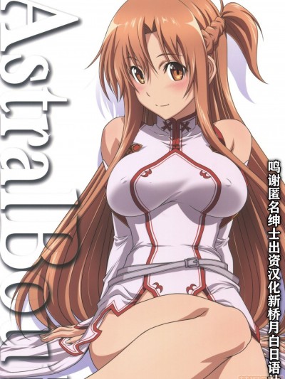 [新桥月白日语社] (C96) [STUDIO TRIUMPH (むとうけいじ)] アストラルバウトVer.41 (ソードアート・オンライン)