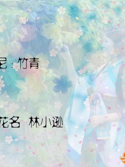《阴阳师手游》八百比丘尼苍之雀羽 C O S P L A Y