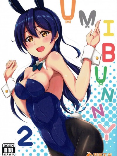 (C91) [いつかのカバヤキ (Cabayaki)] UMI BUNNY 2 (ラブライブ!)