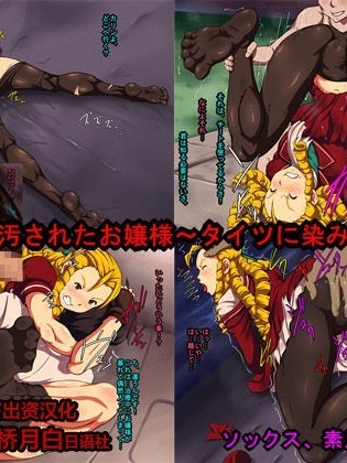 [新桥月白日语社] [L-u (まくらの同士)] 汚されたお嬢様～タイツに染みる汗～ (ストリートファイター)