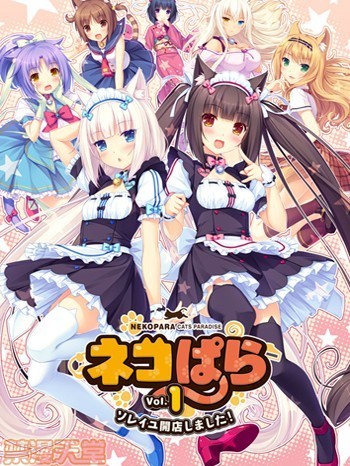 [NEKO WORKs(さより)] ネコぱら vol.1 ソレイユ開店しました！