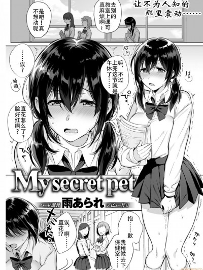 [钢华团汉化组] [雨あられ] My Secret Pet (COMIC 失楽天 2018年7月号) [DL版] [中国翻訳]
