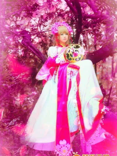 《翼·年代记》小樱公主装C O S P L A Y
