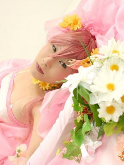 《gundam seed》拉克丝·克莱茵婚纱 C O S P L A Y