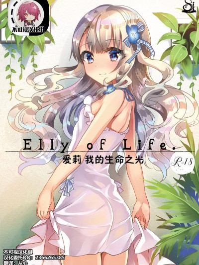 [不可视汉化] [しまじや (しまじ)] 義妹エリィちゃんとラブラブコスプレH [中国翻訳]