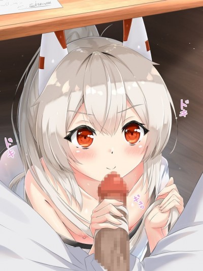 [一只麻利的鸽子汉化] [sironora]绫波NTR