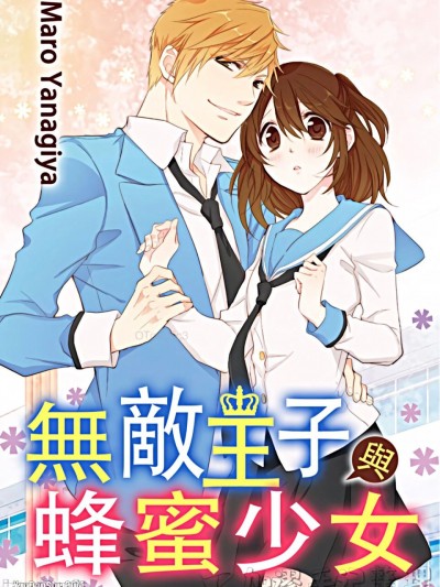 無敵王子與蜂蜜少女/無敵王子とはちみつ乙女
