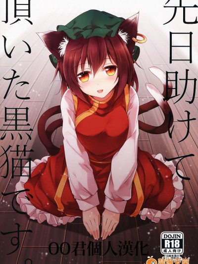 [oo君個人漢化](東方合同イベント 2017新春!) [みどりねこ (みどり)] 先日助けて頂いた黒猫です。 (東方Project)