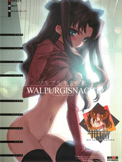 [牛肝菌汉化] (C67) [希有馬屋 (井上純弌)] ワルプルギスの夜 (Fate/stay night) [中国翻訳]