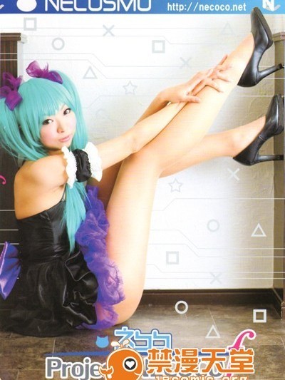 Project Necoco-f