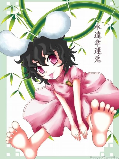 [乌冬个人汉化] [光と魔法工房 (Mぽん)] 永遠幸運兎 (東方Project) [中国翻訳] [DL版]