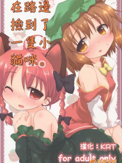 [がいなもん(夏の紅茶)][道端で貓を拾いました。]