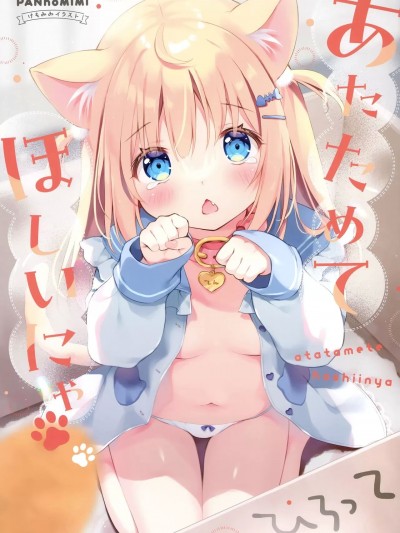 (C101) [ぱんのみみ (ぱん)] あたためてほしいにゃ (オリジナル)