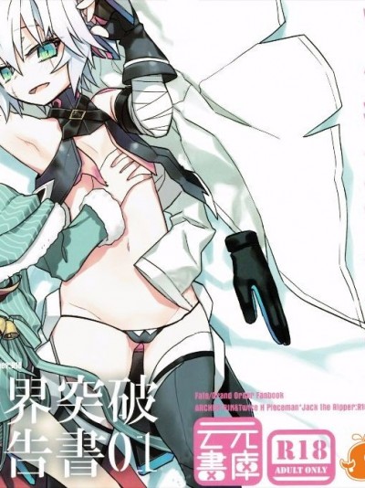 擬似限界突破__報告書01 (FateGrand Order)