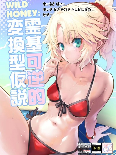 (C102) [Peθ (もず)] WILD HONEY：霊基可逆的変換型仮説 (Fate Grand Order) [DL版]