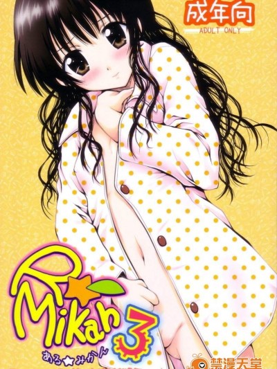 [しあわせ甘味料][ある☆みかん 3]