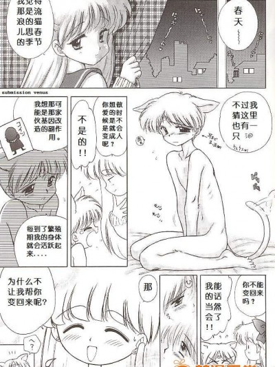 [BLACK DOG(黒犬獣)][Stray Cat]