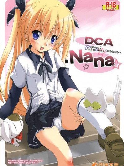 [ねこごろ(機長)][DCA.NANA]