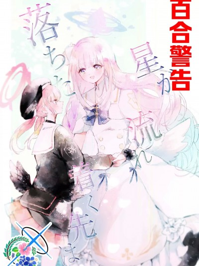 流星的归宿 [碧蓝档案百合组] [夢の跡地 (幽芽)] 落ちた星が流れつく先は (ブルーアーカイブ) [中国翻訳]