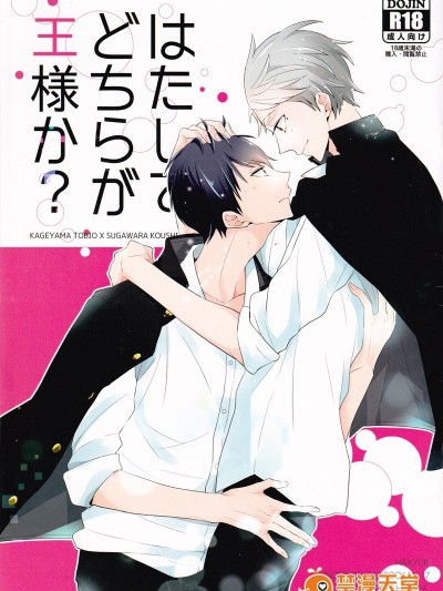 [HQ／影菅]SK - はたしてどちらが王様か？