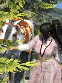 浮萍女侠传