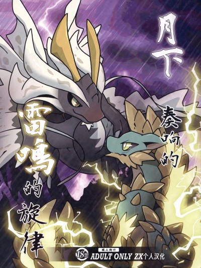 月下奏响的雷鸣的旋律 [ZX个人汉化] (関西けもケット９) [だーおんず養竜所 (だーおん)] 月下に奏でる雷鳴の調べ (モンスターハンター) [中国翻訳]