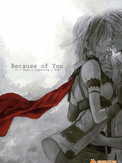 [臨時義軍x無毒][CassiS (りおこ)]Because of You