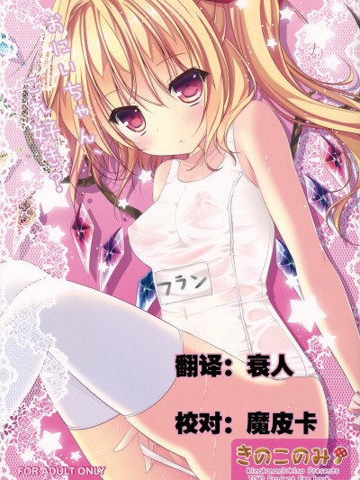 [CE家族社](例大祭10) [きのこのみ (kino)] お兄ちゃん、これ好き？ (東方Project)