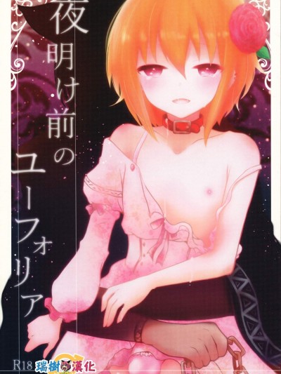 [有袋類X(しほみ)][夜明け前のユーフォリア]