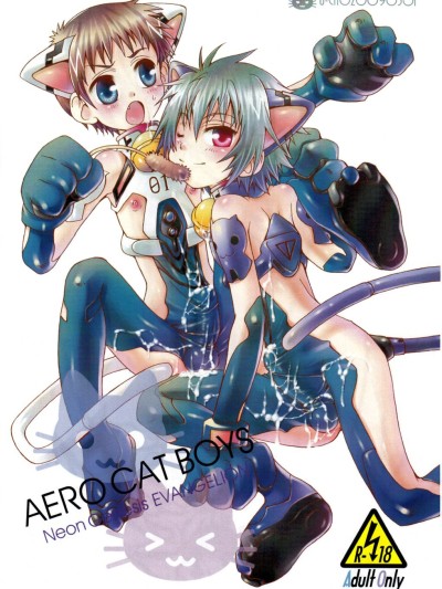 Aero Cat Boys