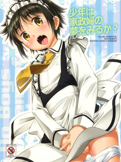 Shounen wa Kaseifu no Yume o Miru ka?