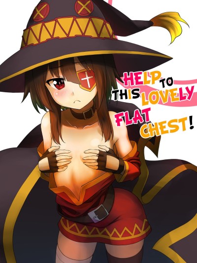 Kono Kawairashii Hinnyu ni Kyuusai o! | Help to this Lovely Flat Chest!