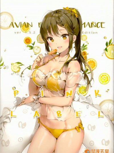 (C92) [メガネ少女 (Anmi)] Avian Romance Pink Label2
