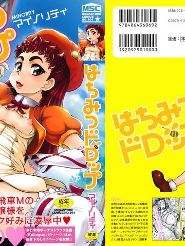 Hachimitsu Drop | Honey Drops