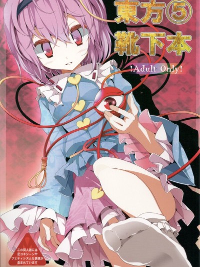Touhou Socks Book 5