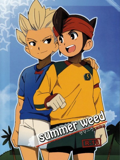 Summer Weed