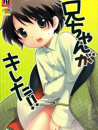 Niichan ga Kireta!!