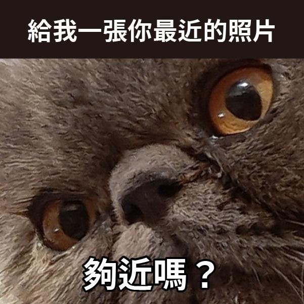 遊戲心得-童話夜想曲-這麼色的時間兔帶膠布