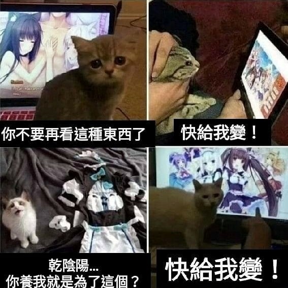 紳士民俗學――異種婚姻譚