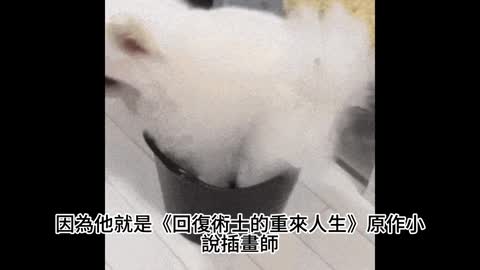 站長重磅推薦